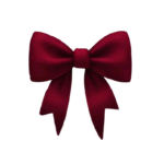 42c7d94ab16c24f97d0dd93154d5354e fotor bg remover 20260207191058